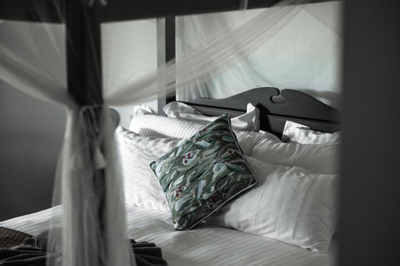 The Bearded Dragon Boutique 3* Mount Tamborine